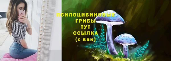гидра Остров