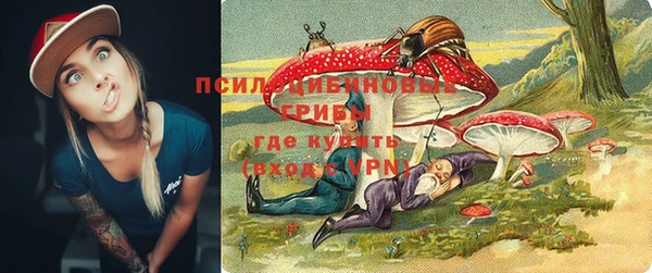 PSILOCYBIN Балабаново